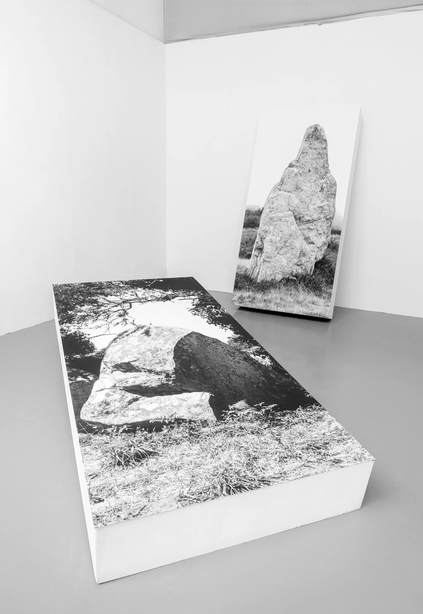 Altar, 2020, avec Émilie Heddebeaux. Vue d’exposition.