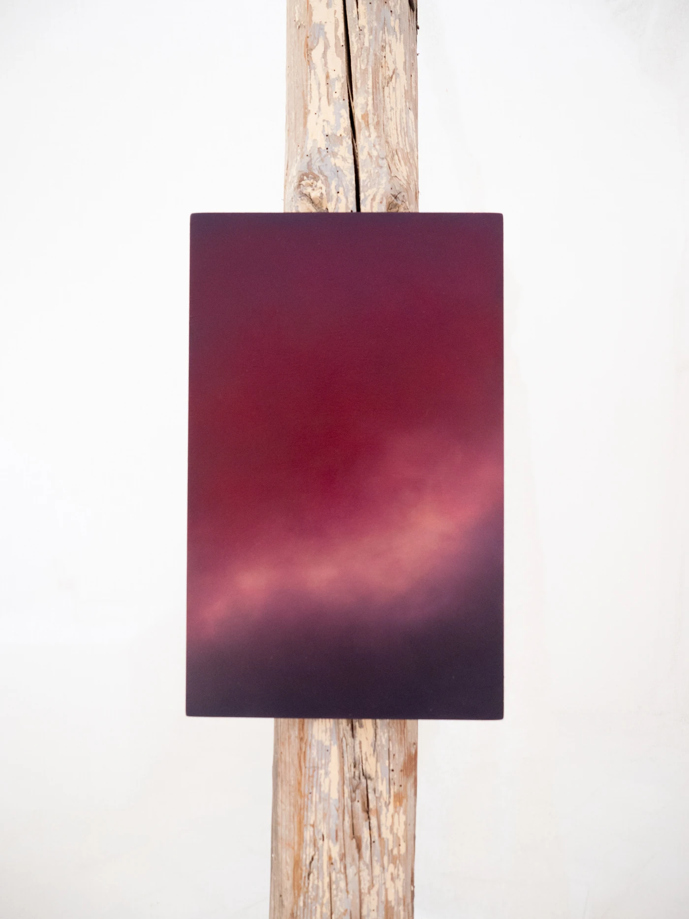 Purple Storm, 2026, huile sur bois, 20 × 25 cm.